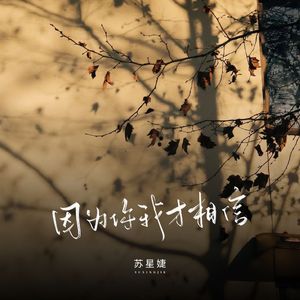 因为你我才相信