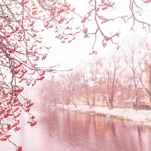 A Christmas Card From Upland