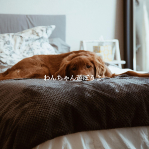 Outstanding Moods for Relax Days