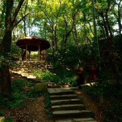 五方财神咒 (庇佑护持)