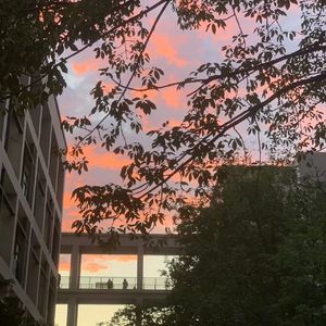 Asen/UPNEVERDOWN/Playboicarti/K少 （Err12Remix）