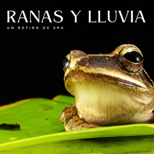 Rejuvenecimiento De Días Lluviosos
