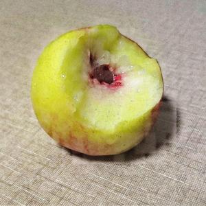 FREE 可商用 "LUV URZ" J Cole＆Piano type beat