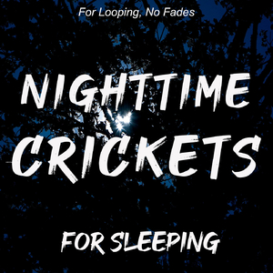 Nighttime Crickets, For Sleeping: For Looping, No Fades