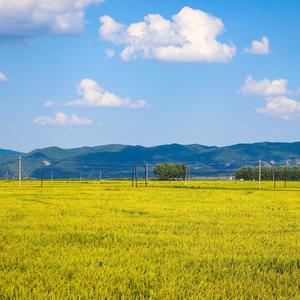 拉萨夜雨（纯音乐）