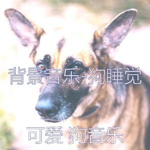 好玩的(训练你的狗)
