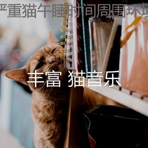 微妙的睡猫心情