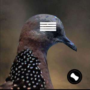 a homeless dove（prod by youngmarkin & Adams)