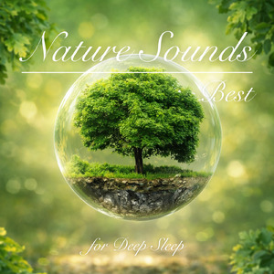 癒しの音色が心地いい高音質睡眠導入BGM 安眠・癒しリラックスのα波音楽