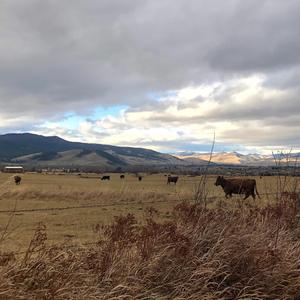 Isolation (feat. Aaron E3)