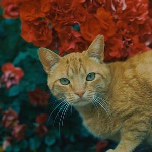 Handmade (feat. Markiu)