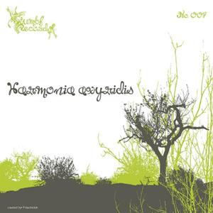 Harmonia axyridis (Original Mix)
