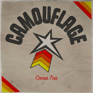 Camouflage (Don't Test Me Riddim)