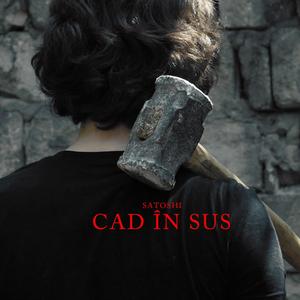 Cad În Sus