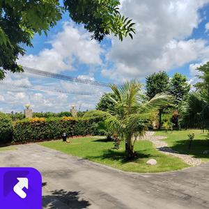 永恒的钟声 (现场)