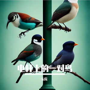 电杆上的一对鸟 伴奏