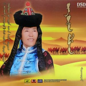 巴彦阿勒泰的马驹