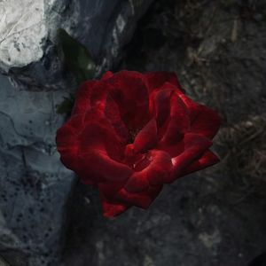 如果这就是（prod.Yn1Jasper）