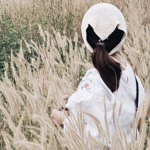 ดอกไม้ไฟ (Short term)