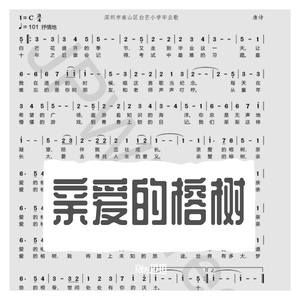 亲爱的榕树 伴奏