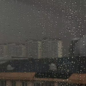 静谧之独