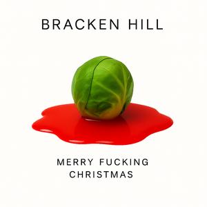 Merry ****ing Christmas (Acoustic Busker Release)