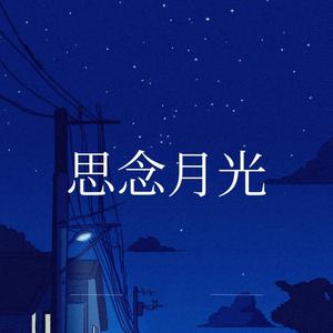 思念月光
