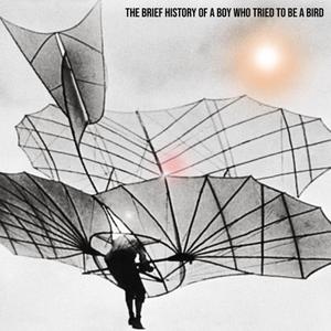 The Brief History Of A Boy Who Tried To Be A Bird
