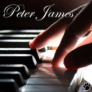 Takeda Lullaby (Plié)