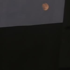 我最近总是梦见你