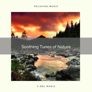 Soothing Music of Rain Forest with Whispering Brook