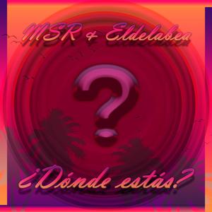Dónde estás ? (feat. MSR)