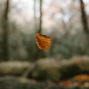 Falling into fate (feat. Patrick James)