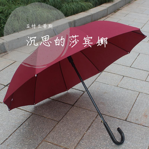 沉思的莎宾娜