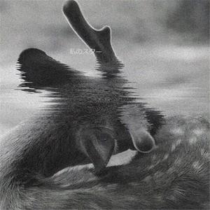 去追一只鹿（翻自 小时姑娘）