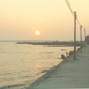 처음 본 영화처럼, 첫사랑처럼