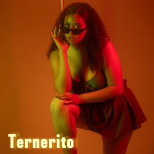 Ternerito