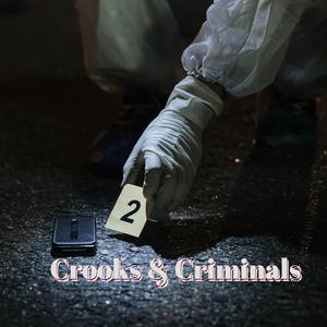 Crooks & Criminals
