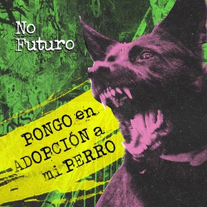 Pongo en Adopción a Mi Perro