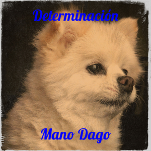 Determinación