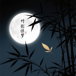 竹影惊梦（古筝盲弹即兴抖音原声版）