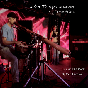 Millhouse Groove (Live)