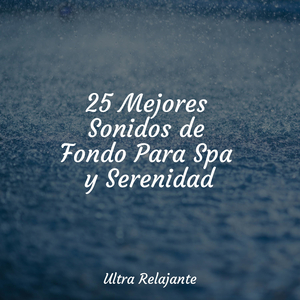 Sueño Y Concentración