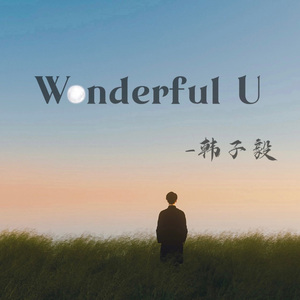 Wonderful U