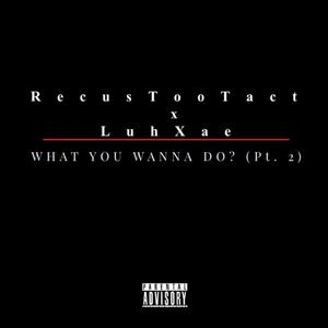 What you wanna do? (PT 2) (feat. RecusTooTact)