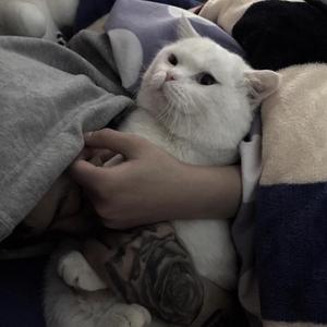 死结（prod by KENNY）