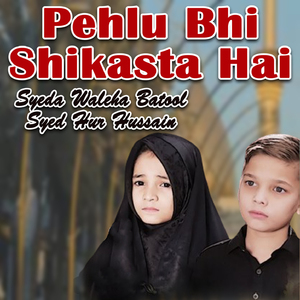 Pehlu Bhi Shikasta Hai