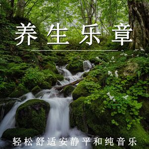 养生乐章