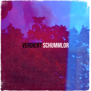 Verdient