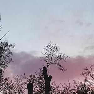 空岛(prod by FRESH_ye)